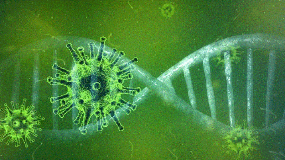Coronavirus. Bildquelle:Pixabay